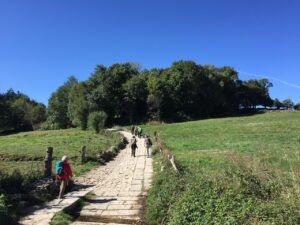 hike, pilgrimage, backpack, camino, camino de santiago, jakobsweg, spain, nature, scallop, trail, pilgrim path, quiet, forest, pilgrimage, pilgrimage, pilgrimage, pilgrimage, pilgrimage, camino, camino de santiago, camino de santiago, camino de santiago, jakobsweg, jakobsweg, jakobsweg, pilgrim path, pilgrim path, pilgrim path